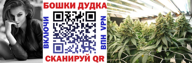 Купить наркотики Елизаветинская Кокаин  Альфа ПВП  Меф  ГАШ  МАРИХУАНА 