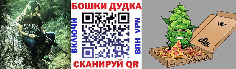 Бошки Шишки Елизаветинская