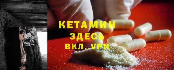 стаф Заводоуковск