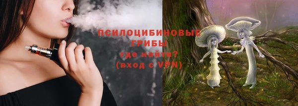 шишки Елабуга