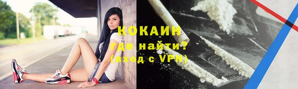 стаф Заводоуковск