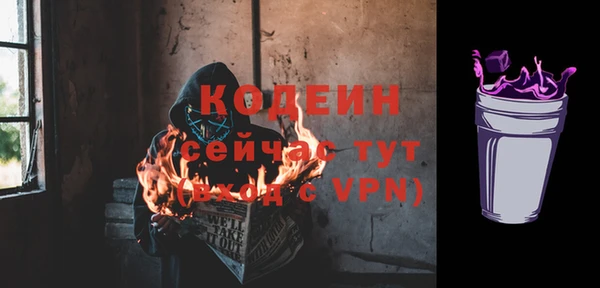 стаф Заводоуковск