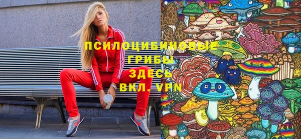 стаф Заводоуковск