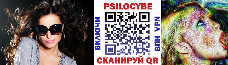 где найти наркотики  Елизаветинская  Псилоцибиновые грибы Cubensis 